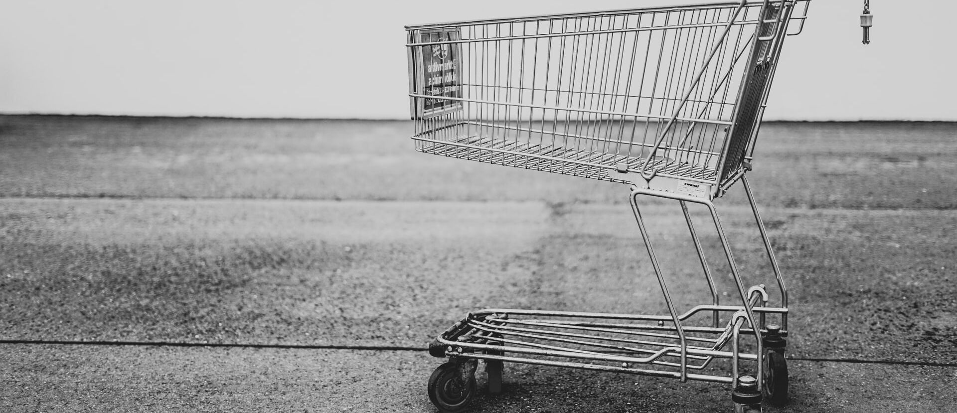 /assets/images/3/shopping-jqs630cp2v2d2j7.jpg