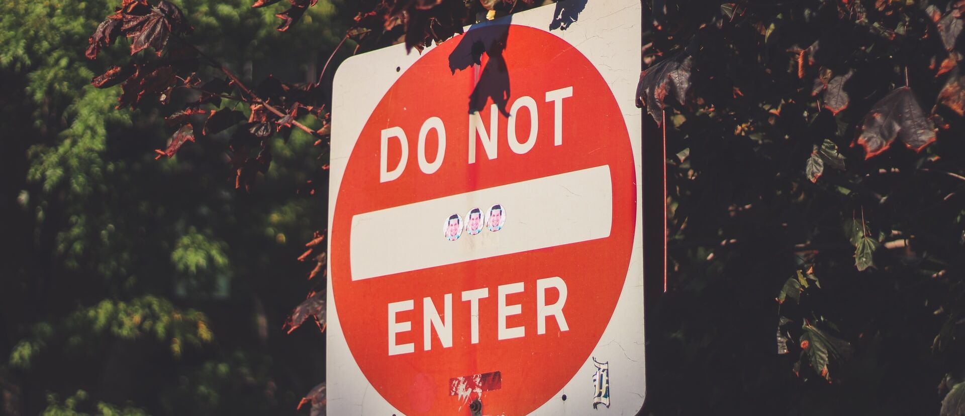 /assets/images/h/mark-rohan-K-rcBxXRWac-unsplash-y0gpdvp0b7jev1v.jpg