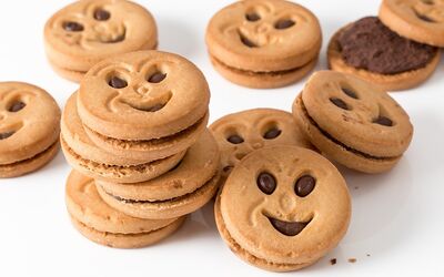 /assets/images/q/dsgvo-eugh-cookies-kx8a9dhc1rhrmar.jpg