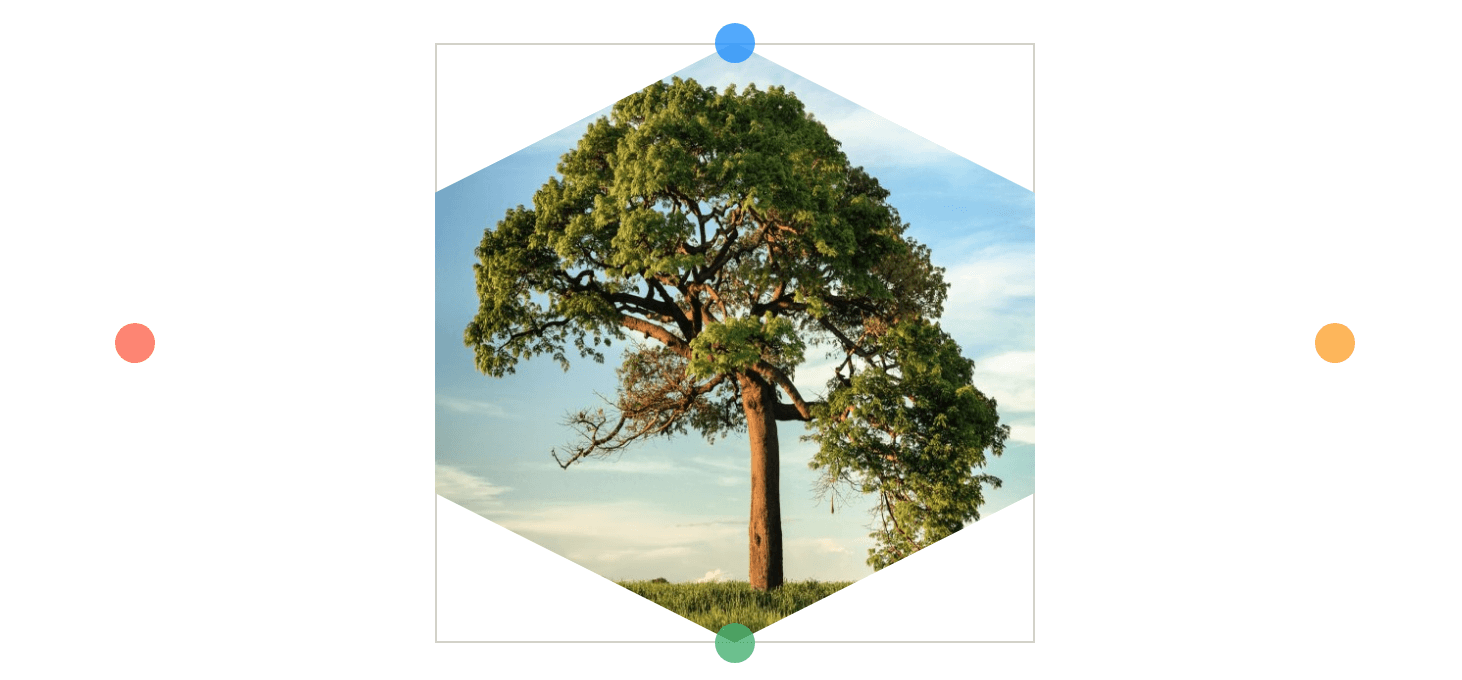 /files/dateien/bilder/blog/hexagons/CSS%20Clip-Path%20Generator%20-%20Hexagon%20mit%204%20Punkten.png