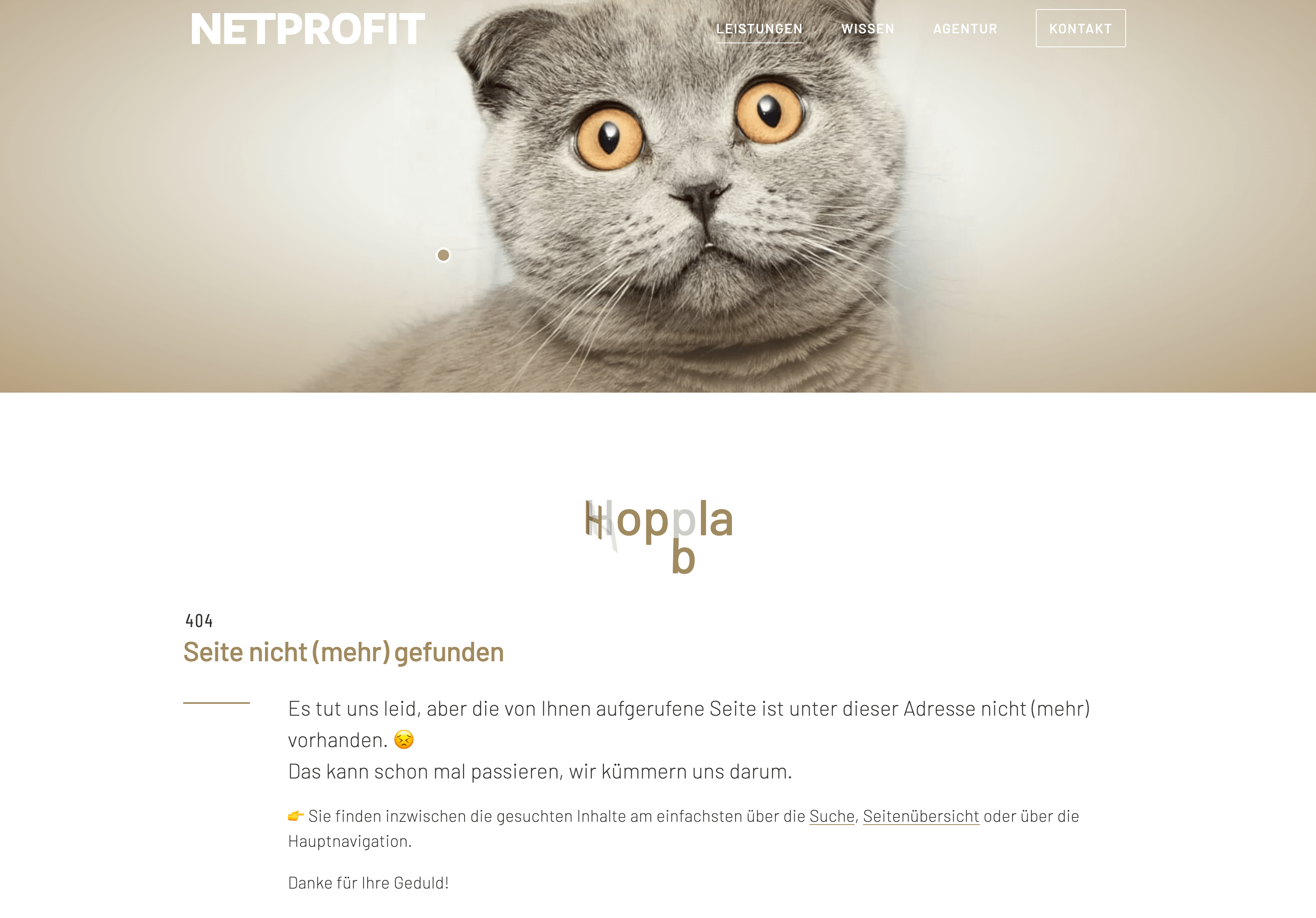 /files/dateien/bilder/lexikon/404/404-fehler-netprofit.png